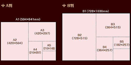 pTCY̑Iѕ