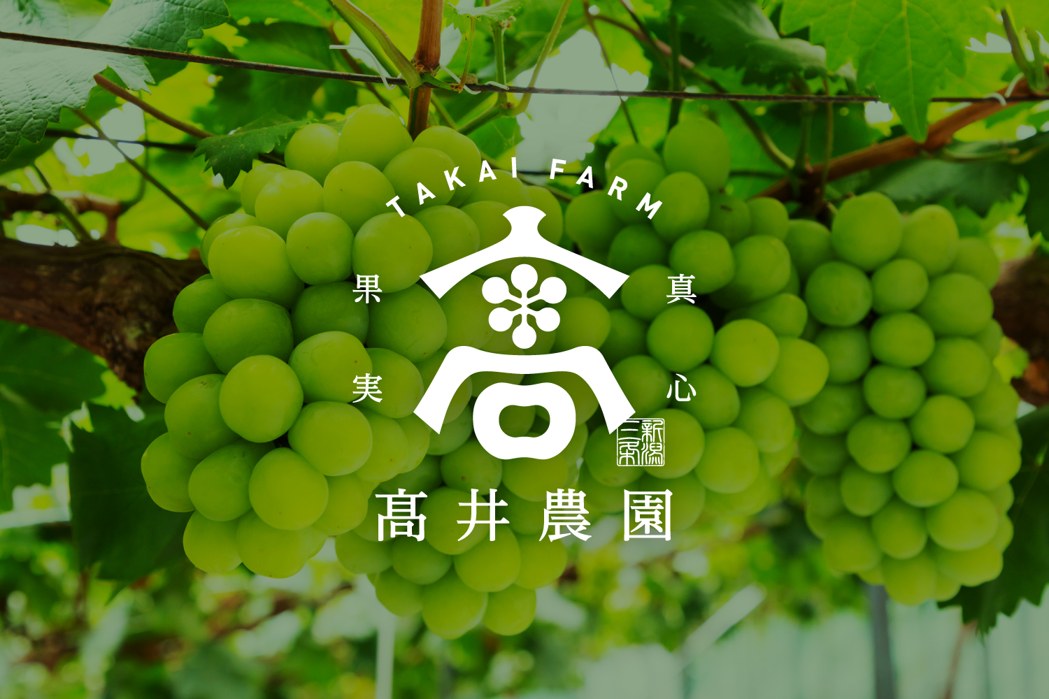 高井農園　ロゴデザイン