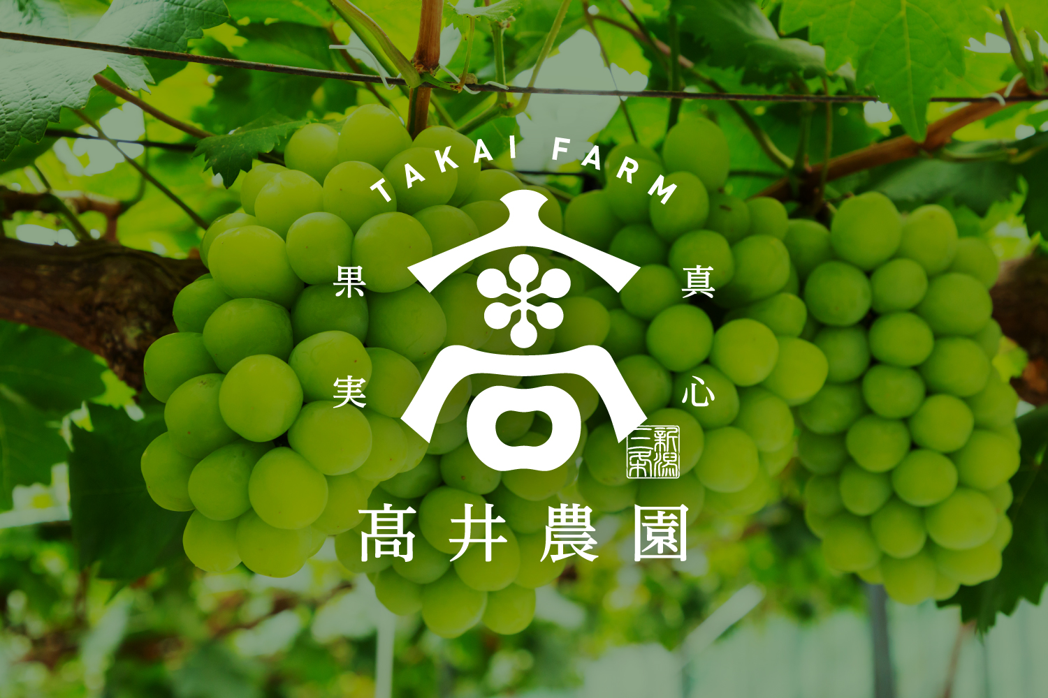 高井農園